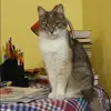 Отзыв от Анастасия Миронова